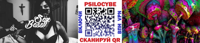 Купить  Ноябрьск  Галлюциногенные грибы MAGIC MUSHROOMS 