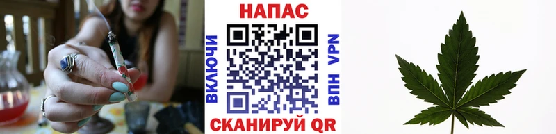 Купить  Ноябрьск  Конопля VHQ 